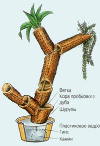 Цветы в оранжереях