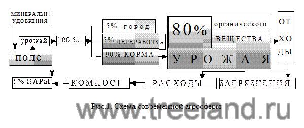 Плодородие без гумуса удобрений