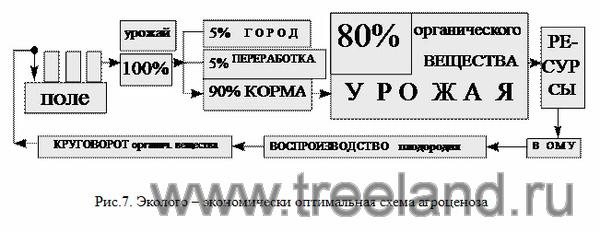 Плодородие без гумуса удобрений